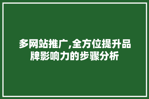 多网站推广,全方位提升品牌影响力的步骤分析 360搜优化