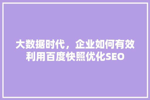 大数据时代，企业如何有效利用百度快照优化SEO