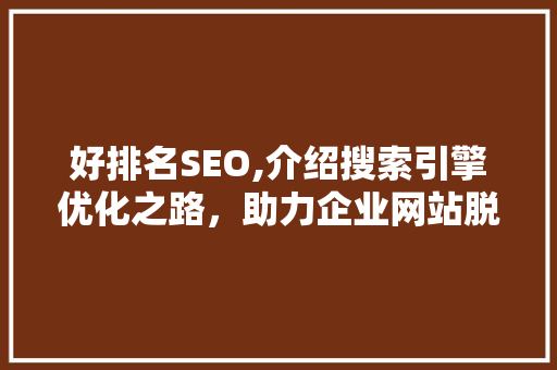 好排名SEO,介绍搜索引擎优化之路，助力企业网站脱颖而出 头条优化