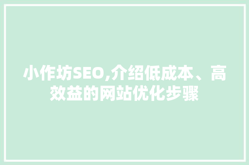 小作坊SEO,介绍低成本、高效益的网站优化步骤 网站开发
