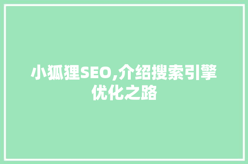 小狐狸SEO,介绍搜索引擎优化之路