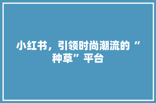 小红书，引领时尚潮流的“种草”平台
