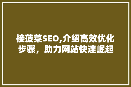 接菠菜SEO,介绍高效优化步骤，助力网站快速崛起