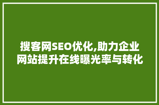 搜客网SEO优化,助力企业网站提升在线曝光率与转化率