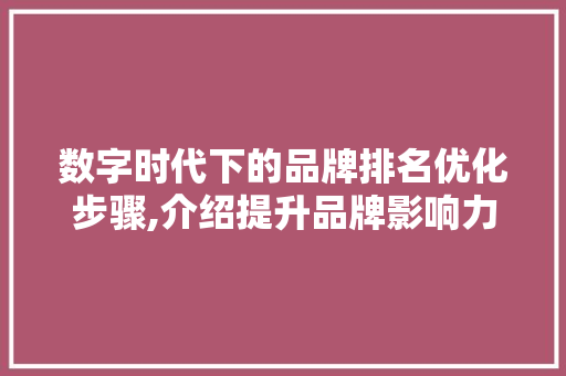 数字时代下的品牌排名优化步骤,介绍提升品牌影响力的方法