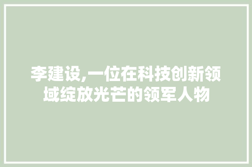 李建设,一位在科技创新领域绽放光芒的领军人物