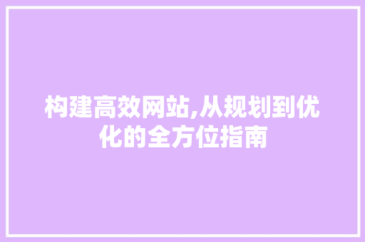 构建高效网站,从规划到优化的全方位指南 网站优化