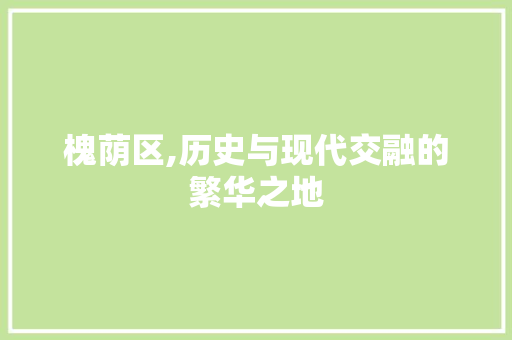 槐荫区,历史与现代交融的繁华之地