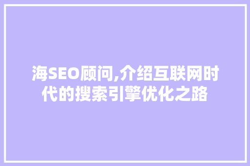 海SEO顾问,介绍互联网时代的搜索引擎优化之路