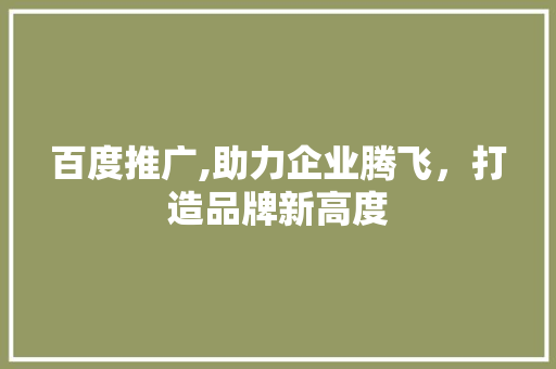 百度推广,助力企业腾飞，打造品牌新高度 网站优化