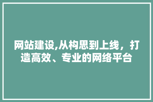 网站建设,从构思到上线，打造高效、专业的网络平台