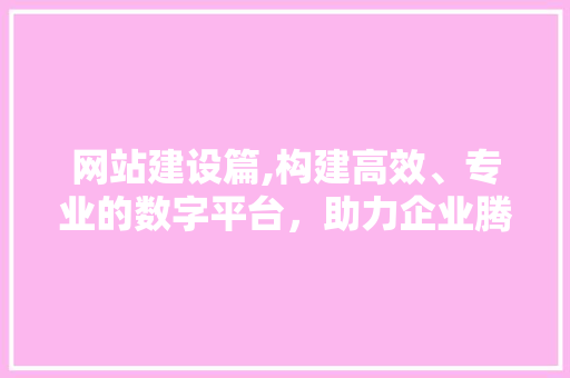 网站建设篇,构建高效、专业的数字平台，助力企业腾飞