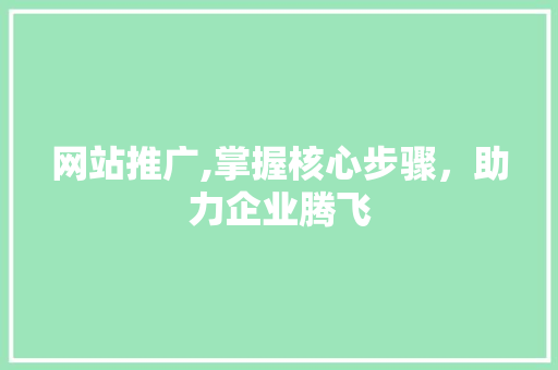 网站推广,掌握核心步骤，助力企业腾飞