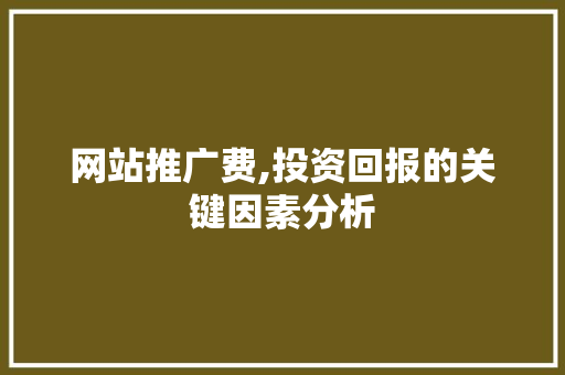 网站推广费,投资回报的关键因素分析 英文谷歌算法