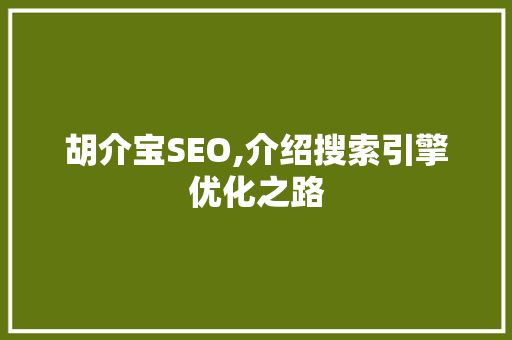 胡介宝SEO,介绍搜索引擎优化之路