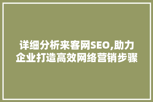 详细分析来客网SEO,助力企业打造高效网络营销步骤