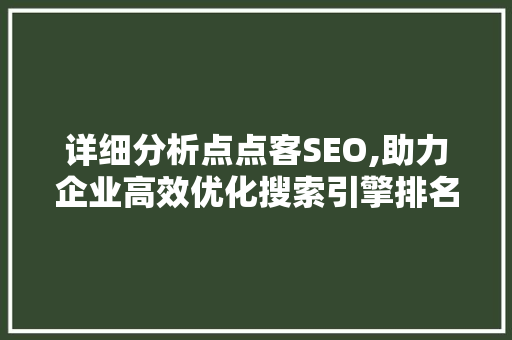 详细分析点点客SEO,助力企业高效优化搜索引擎排名