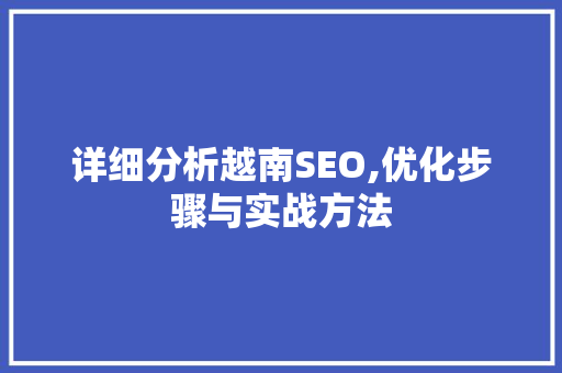 详细分析越南SEO,优化步骤与实战方法