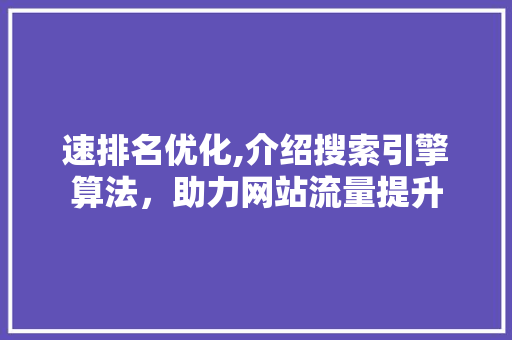 速排名优化,介绍搜索引擎算法，助力网站流量提升 头条优化