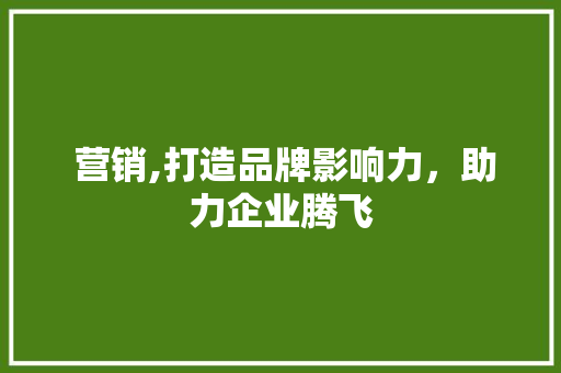  营销,打造品牌影响力，助力企业腾飞