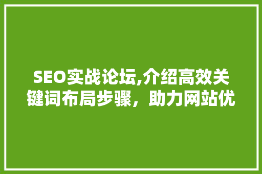 SEO实战论坛,介绍高效关键词布局步骤，助力网站优化 AI技术学习