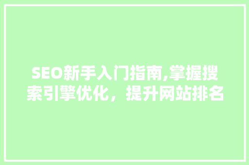 SEO新手入门指南,掌握搜索引擎优化，提升网站排名
