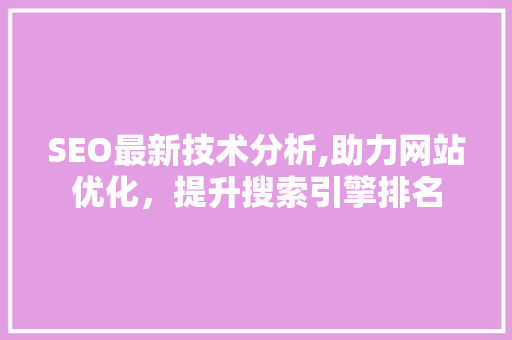 SEO最新技术分析,助力网站优化，提升搜索引擎排名