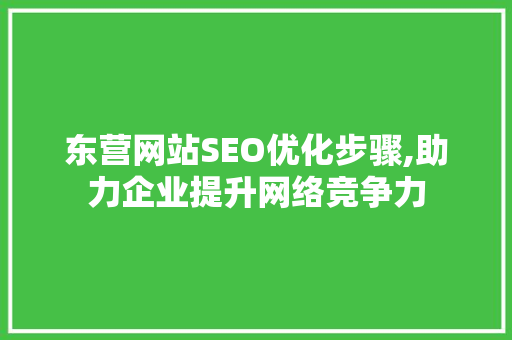 东营网站SEO优化步骤,助力企业提升网络竞争力 网站开发
