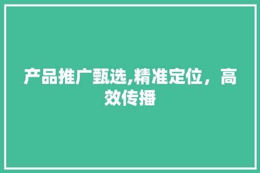 产品推广甄选,精准定位，高效传播 seo技术