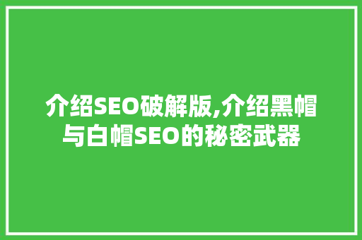 介绍SEO破解版,介绍黑帽与白帽SEO的秘密武器