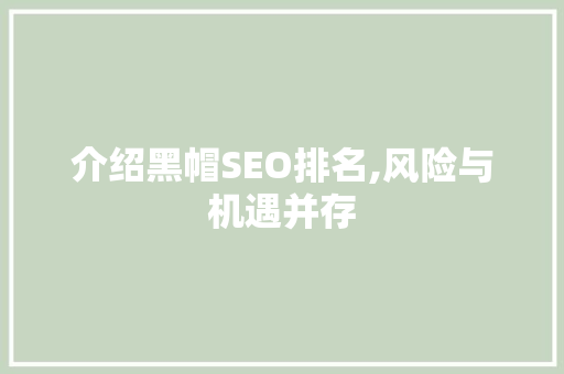 介绍黑帽SEO排名,风险与机遇并存