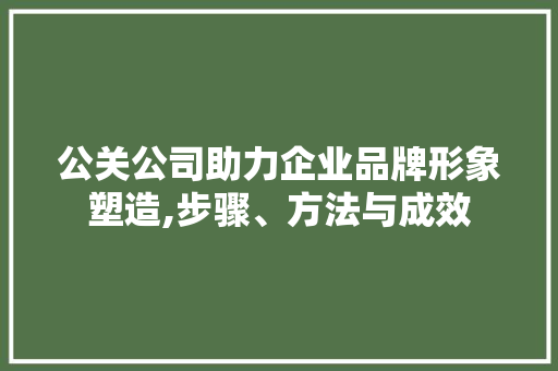 公关公司助力企业品牌形象塑造,步骤、方法与成效