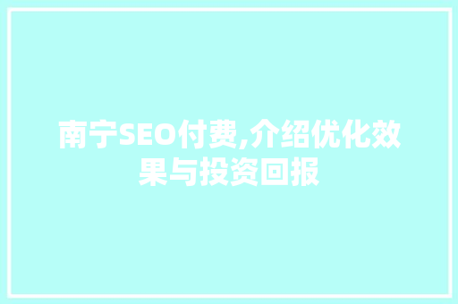 南宁SEO付费,介绍优化效果与投资回报