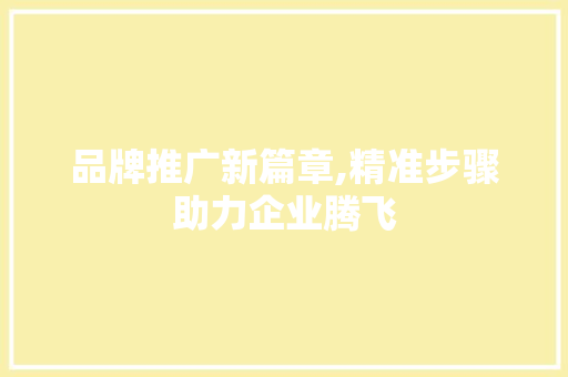 品牌推广新篇章,精准步骤助力企业腾飞