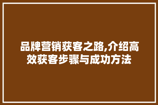 品牌营销获客之路,介绍高效获客步骤与成功方法 AI技术学习