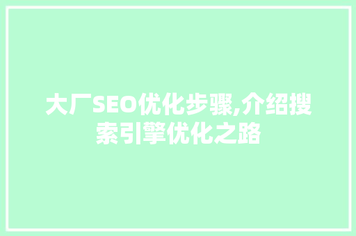 大厂SEO优化步骤,介绍搜索引擎优化之路