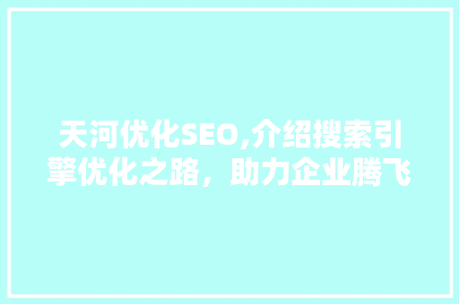 天河优化SEO,介绍搜索引擎优化之路，助力企业腾飞