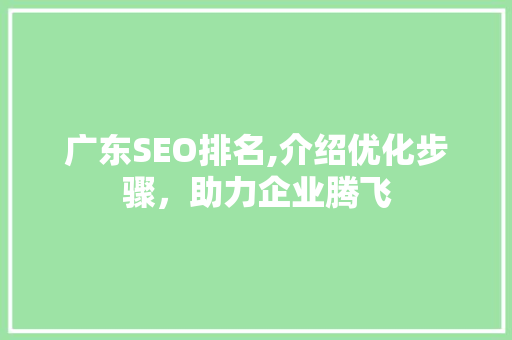 广东SEO排名,介绍优化步骤，助力企业腾飞