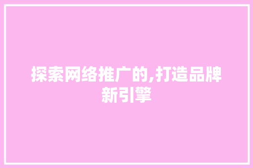 探索网络推广的,打造品牌新引擎 网站优化