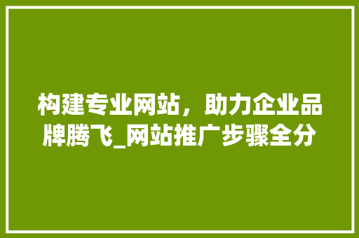 构建专业网站，助力企业品牌腾飞_网站推广步骤全分析