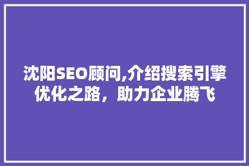 沈阳SEO顾问,介绍搜索引擎优化之路，助力企业腾飞