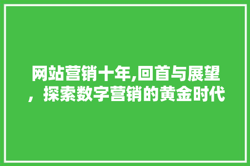 网站营销十年,回首与展望，探索数字营销的黄金时代 360搜优化