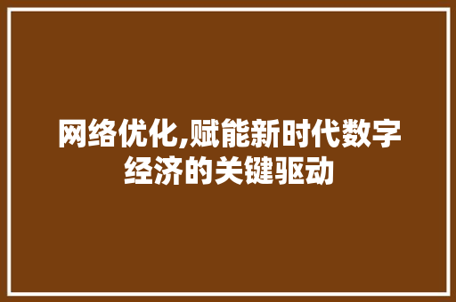 网络优化,赋能新时代数字经济的关键驱动