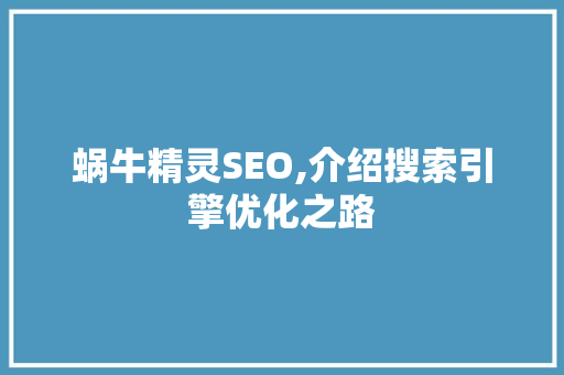 蜗牛精灵SEO,介绍搜索引擎优化之路