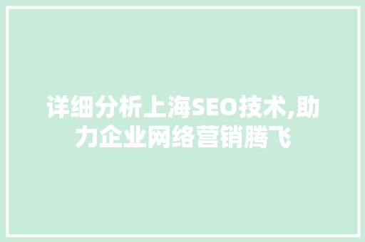详细分析上海SEO技术,助力企业网络营销腾飞 360搜优化