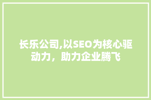 长乐公司,以SEO为核心驱动力，助力企业腾飞