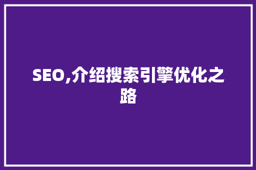 SEO,介绍搜索引擎优化之路