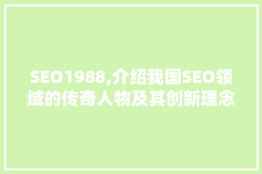 SEO1988,介绍我国SEO领域的传奇人物及其创新理念 360搜优化