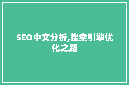 SEO中文分析,搜索引擎优化之路 网站开发