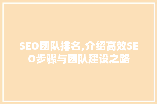 SEO团队排名,介绍高效SEO步骤与团队建设之路 网站优化